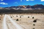 lauca_15.jpg
