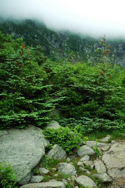 Mount_Washington_07.jpg
