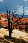 Bryce_Canyon_20.jpg