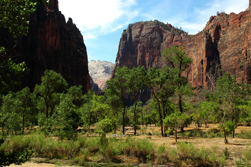 Zion_11.jpg