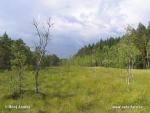 Kurjenrahka_02