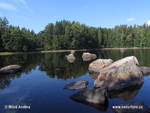 Národní park Liesjarvi